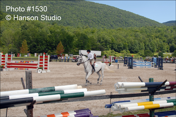 Dorset, VT - Summer Festival Horse Shows - White Horse turning